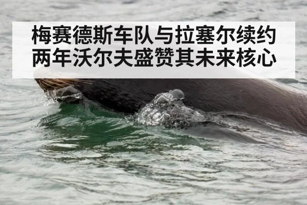 梅赛德斯车队与拉塞尔续约两年沃尔夫盛赞其未来核心