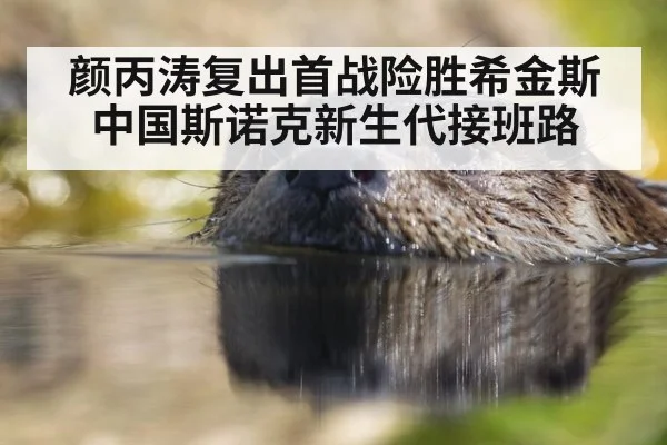 颜丙涛复出首战险胜希金斯 中国斯诺克新生代接班路